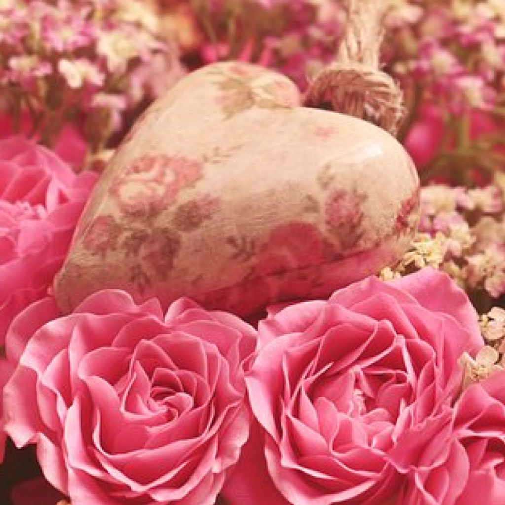 Jacqueline M. Rauenzahn Profile Photo