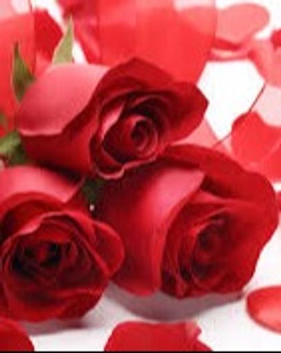 Barbara S. Jones (68)'s obituary image
