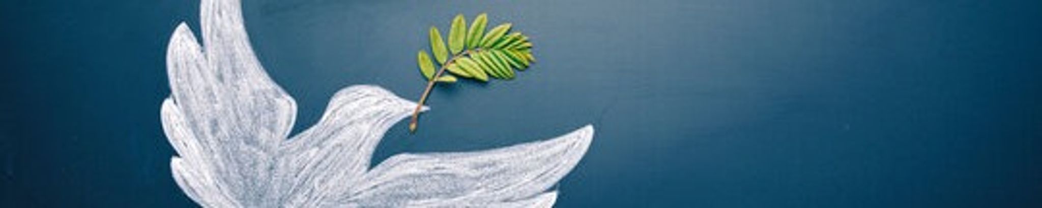 Cover photo for Dorothy J Trail's Obituary
