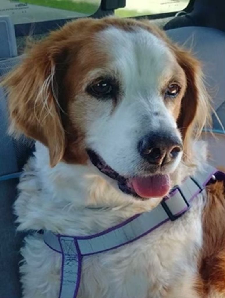 Baby Doll Davis Profile Photo