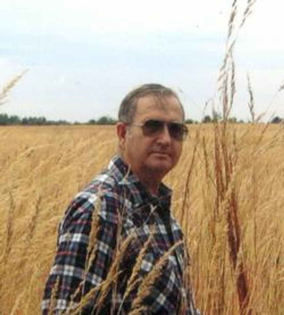 Robert N. Tatum