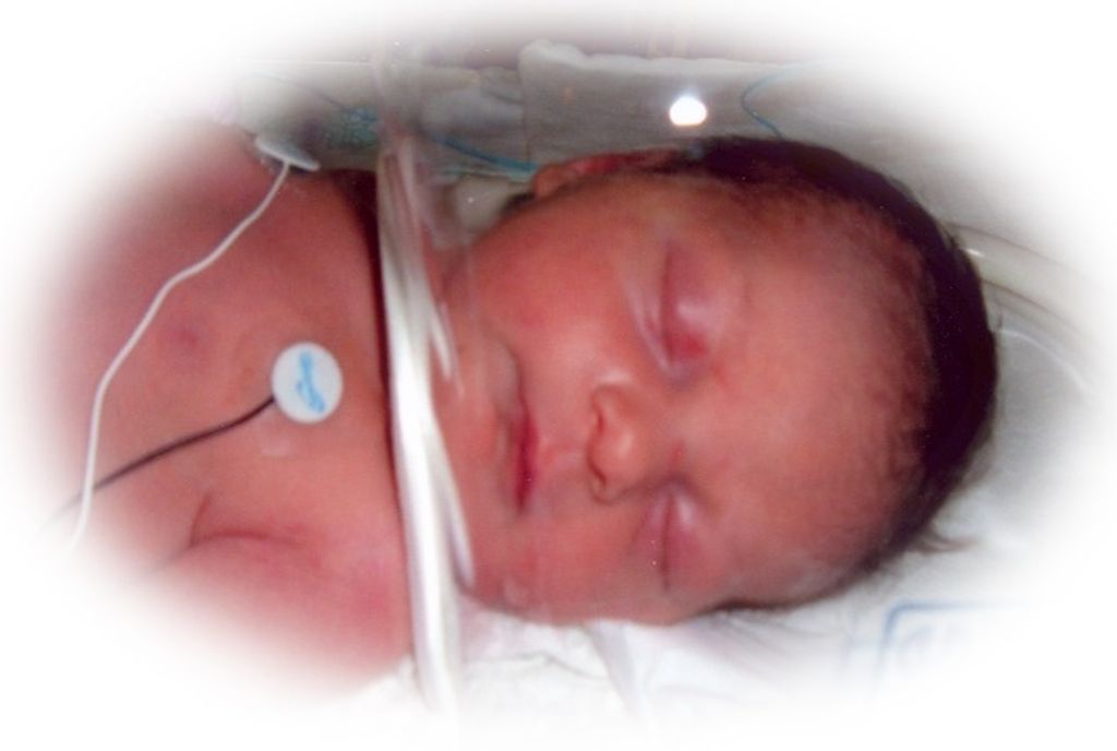 Kelsey Lynn Shorb-Gillespie