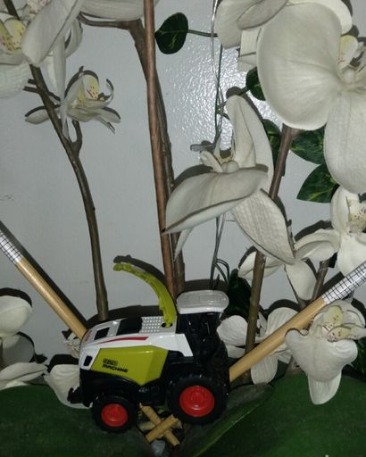 Daegyn Mac Quamar Young Profile Photo