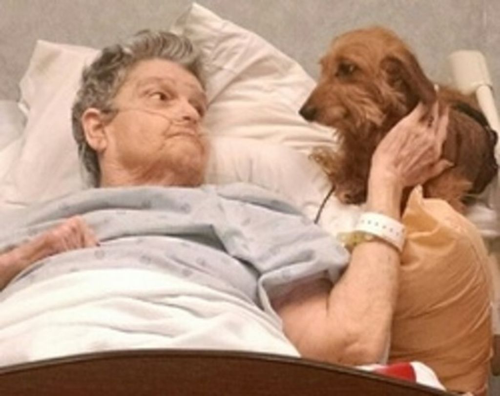 Sarah Maudine Tolley