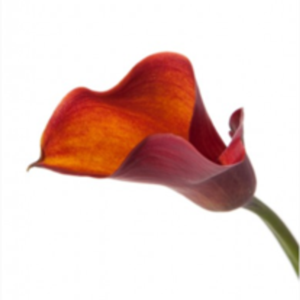 Rita S. Lipiec