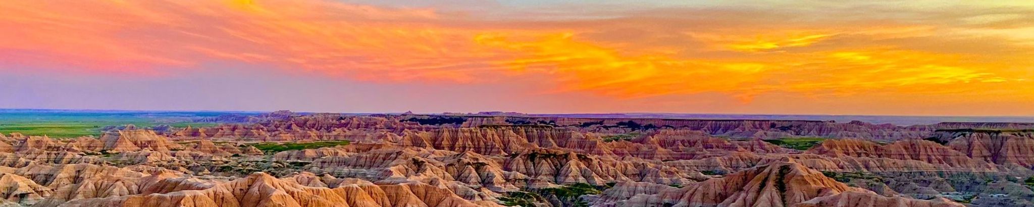 Cover for Katie Lynn Schienbein's Obituary