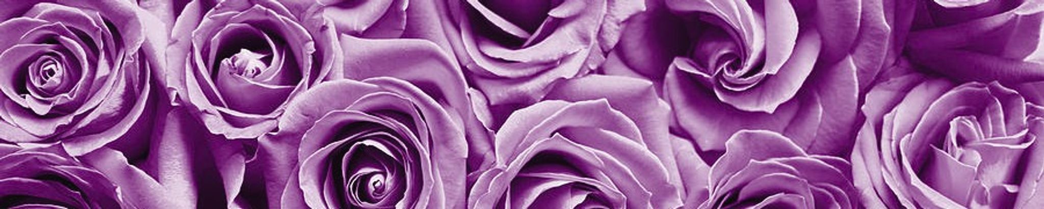 Cover photo for Josefina H. Cordero's Obituary
