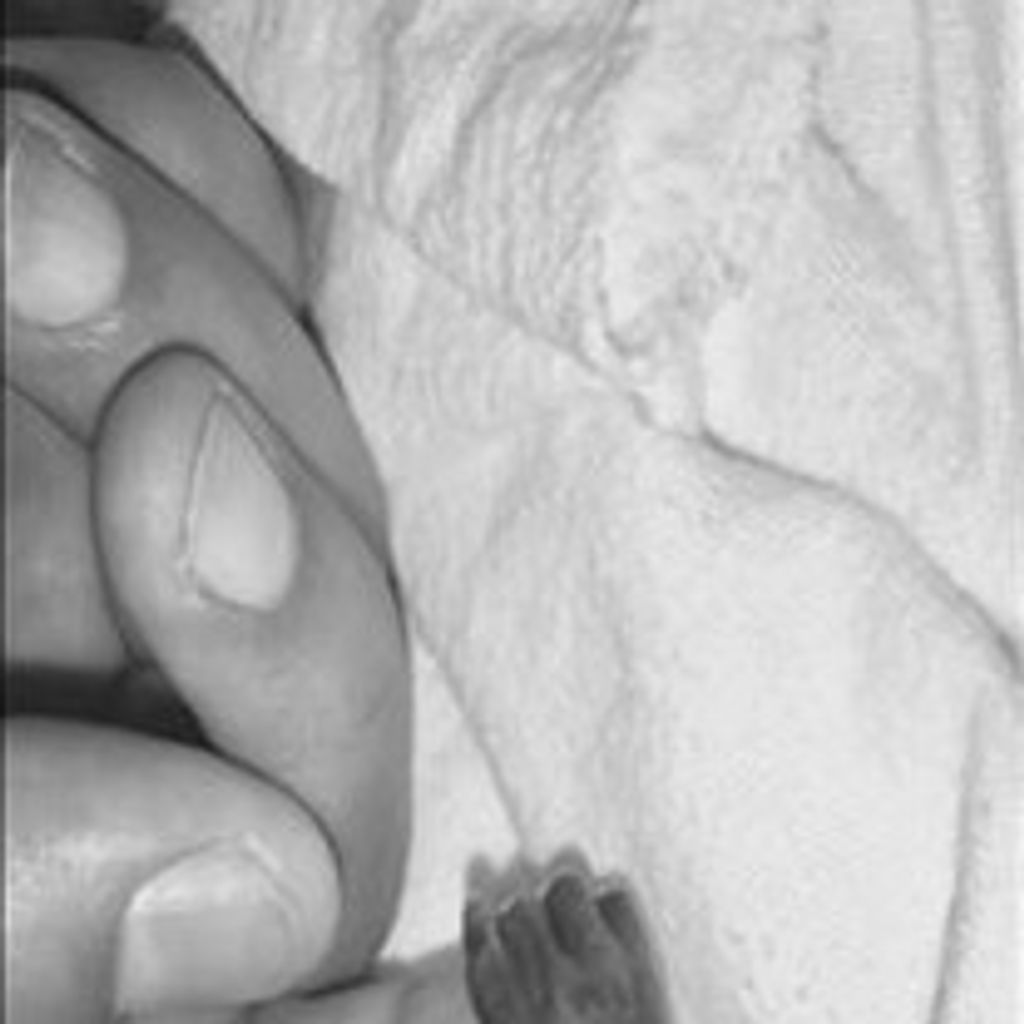 Eva Rose Komalty