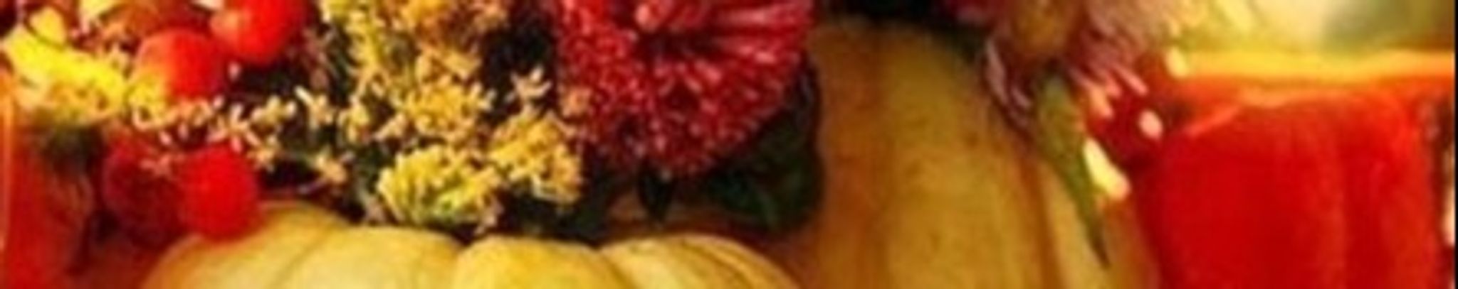 Cover photo for Gracy Philip's Obituary