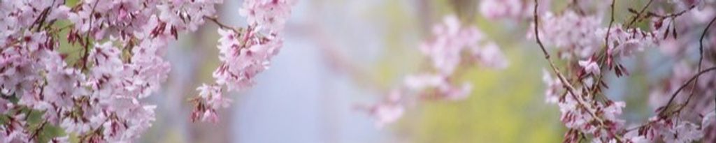 Cover photo for Florence Goblisch's Obituary