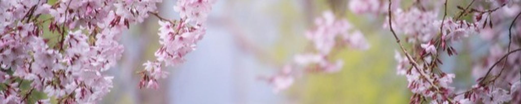 Cover for Florence Goblisch's Obituary