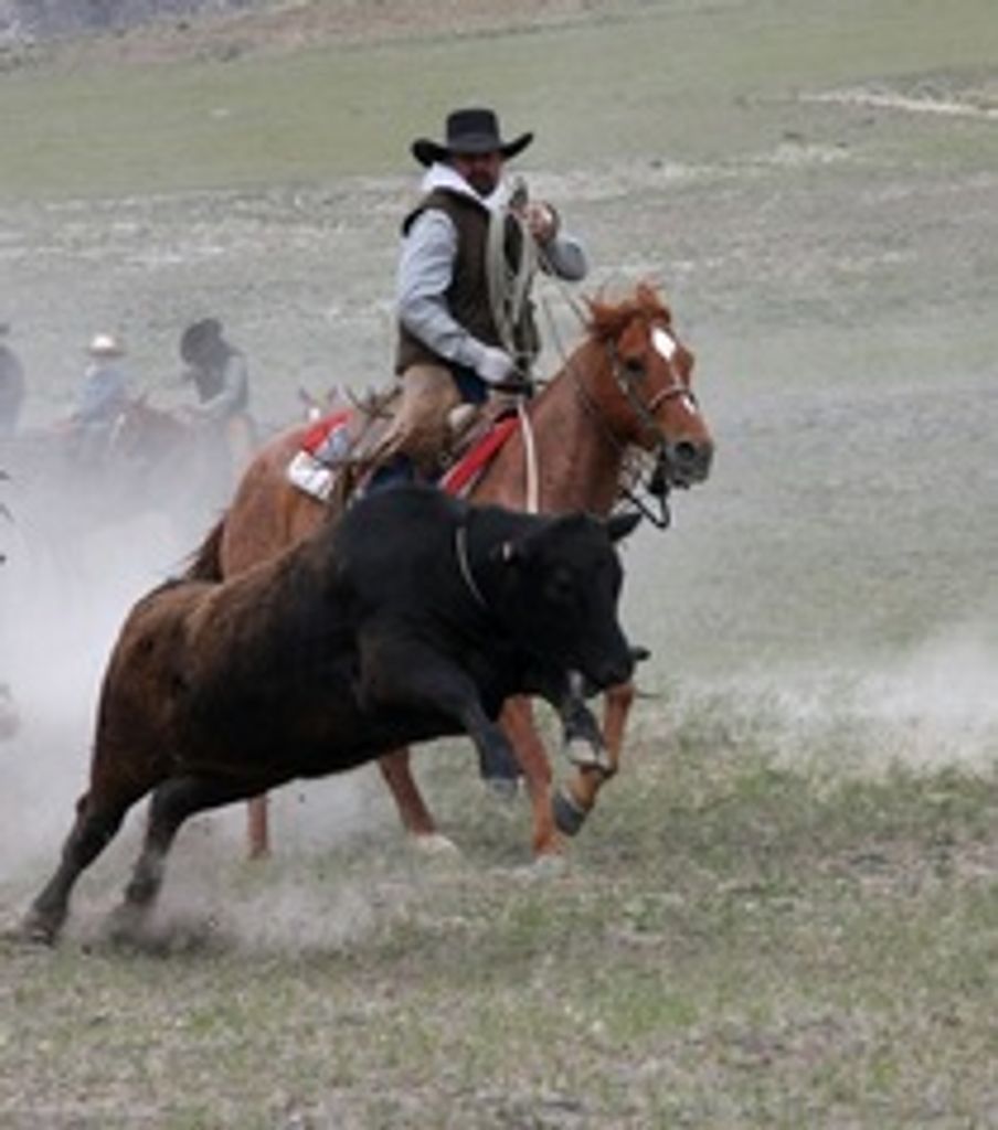 Michael Bentz Profile Photo