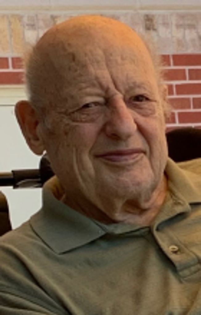 Donato D'Amelio Profile Photo