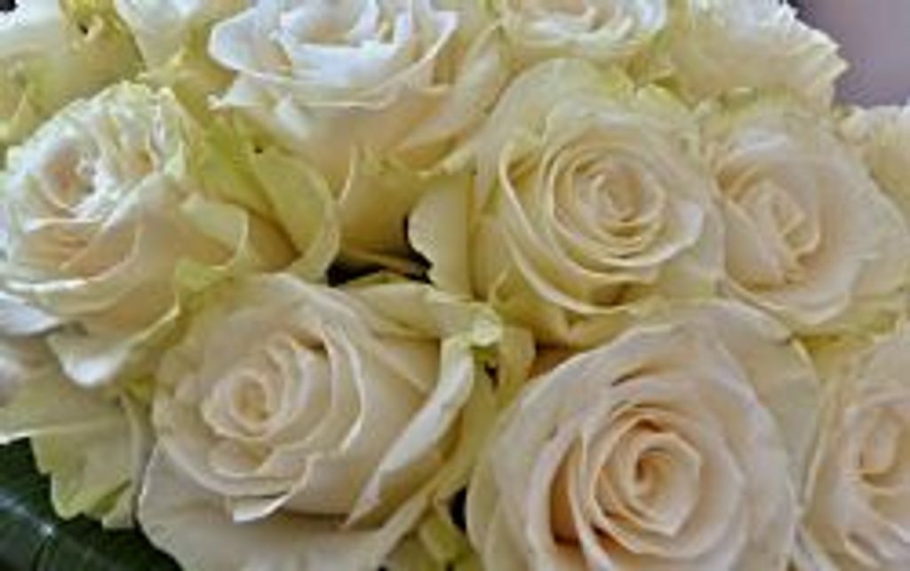 Doris Frances Graham Profile Photo