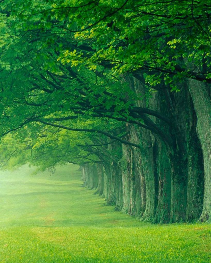 Ronnie Odell Goad Profile Photo