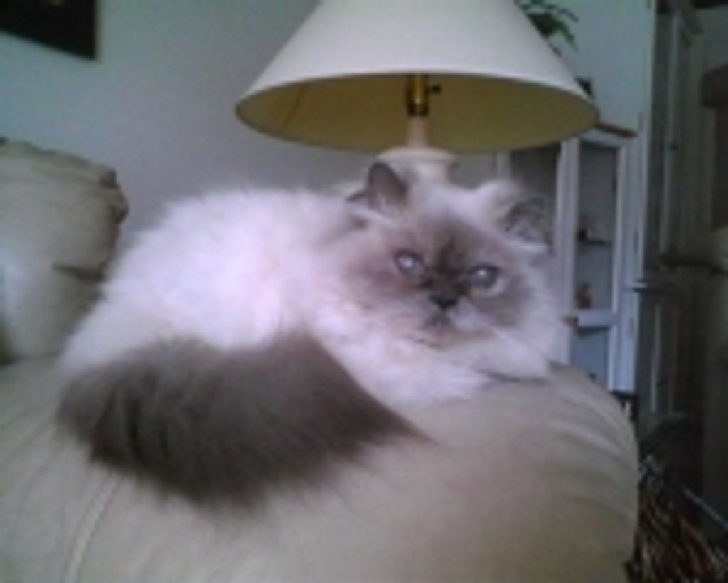 Barney Rosema Profile Photo