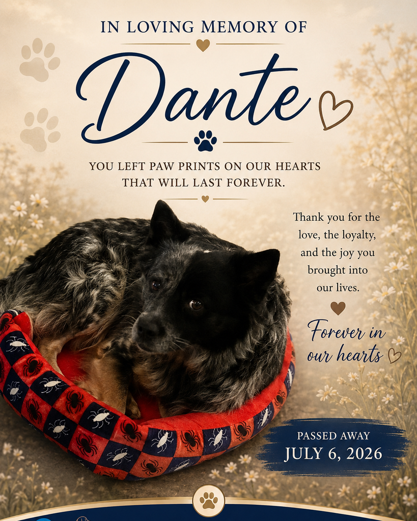 Dante Profile Photo