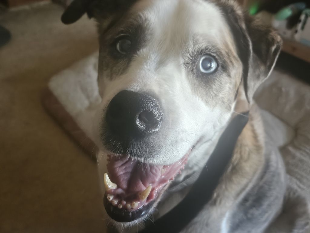 Cooper Woods Profile Photo