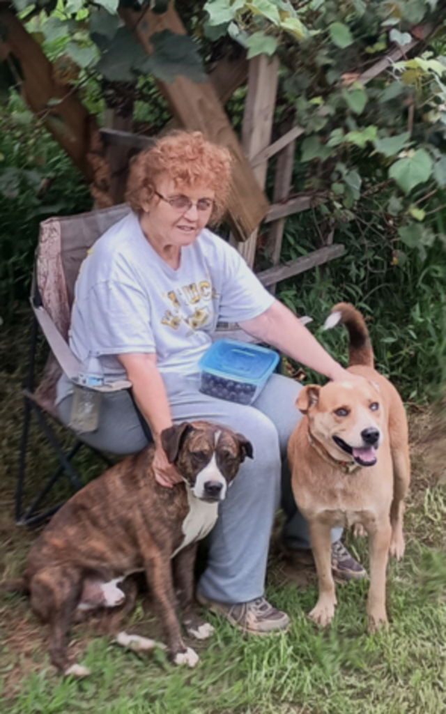 Linda Taulbee Bryant Profile Photo