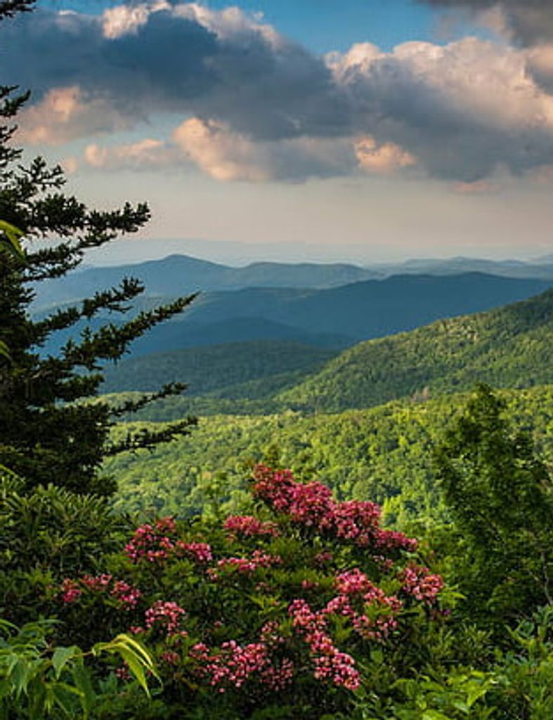 Berlyn Newman Profile Photo