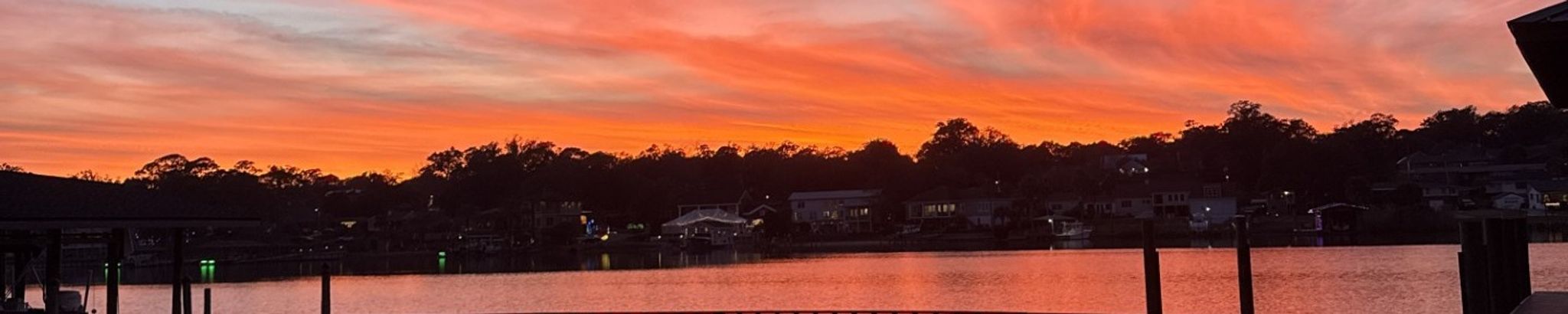 Cover for Ann Sullivan's Obituary