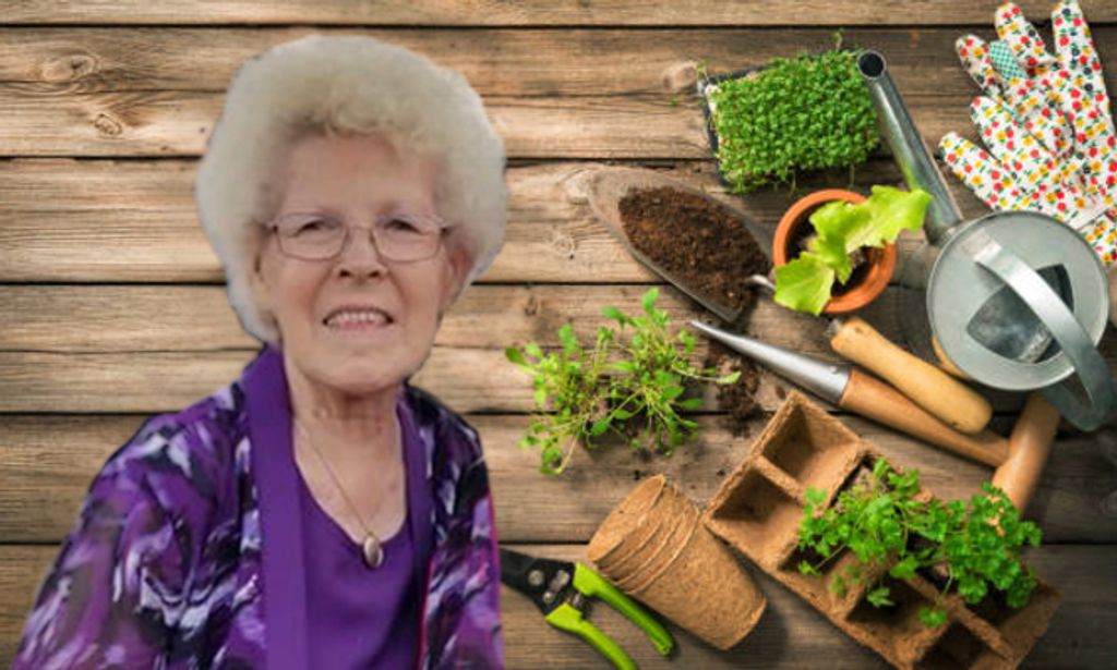 Cora Sue Idrogo