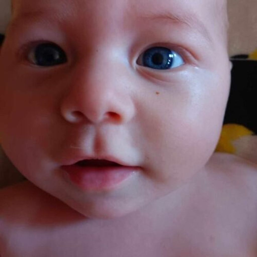 Ragnar L. Paul Profile Photo