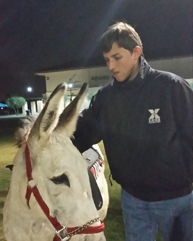 John Stefanelli Profile Photo