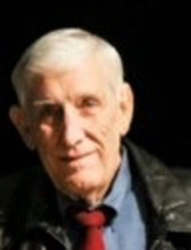 Mr. Wayne Arthur Webster Profile Photo