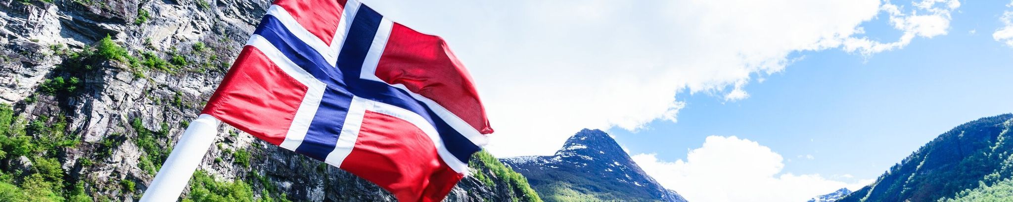 Cover for Donna Rae Syvertson's Obituary