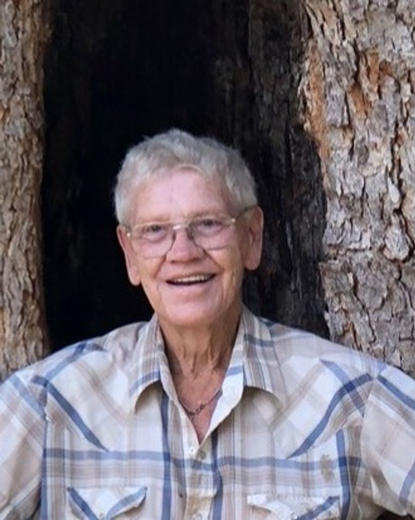 Larry Curtis Weaver Profile Photo