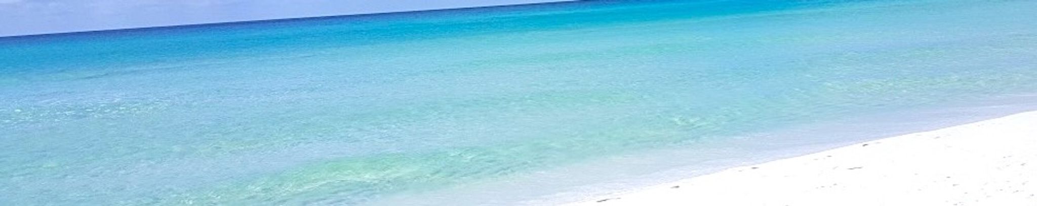 Cover for Rebecca Cremer's Obituary