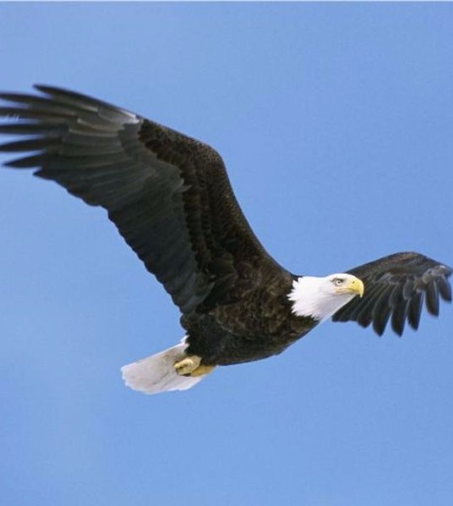 James  Osbourne Kilpatrick