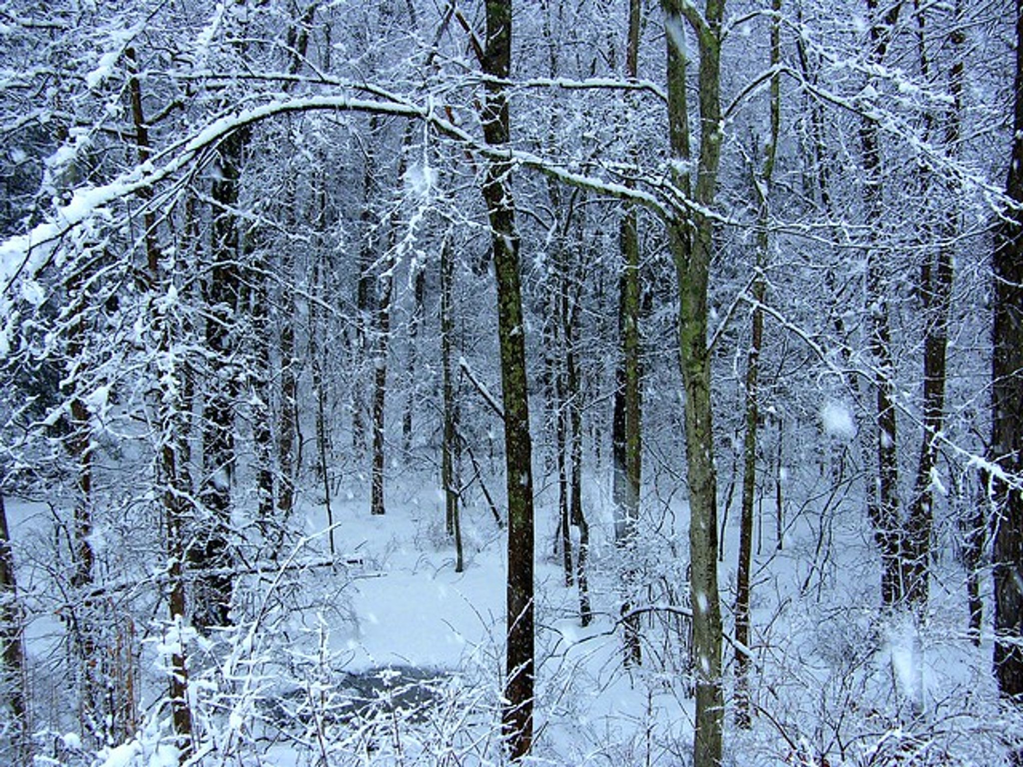 Cover photo for Annette Scott Jordan's Obituary