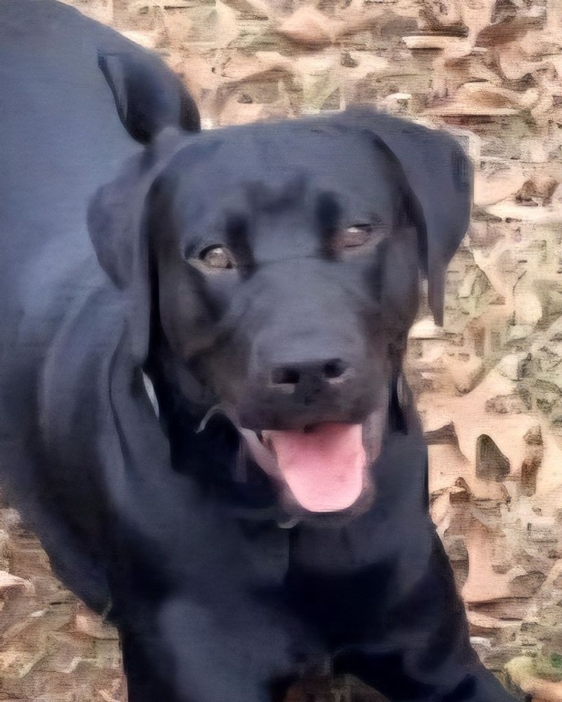 Cooper Hapeman Profile Photo