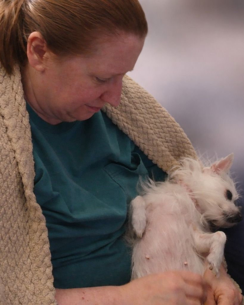 Sandra Lynn Schlessman