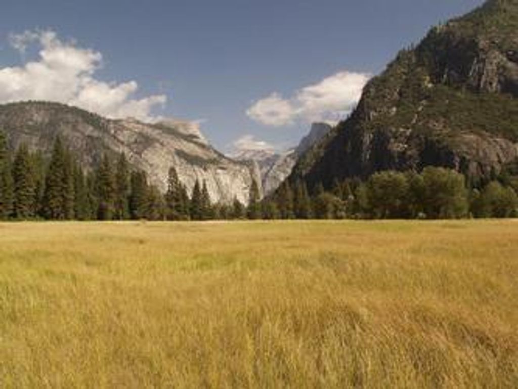 Richard "Budge" Chambers
