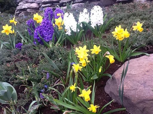 Sandra L. Stowers photo gallery thumbnail 56 of 100