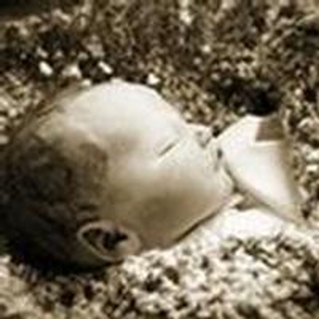 Matthew John McCormick