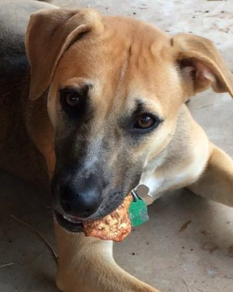 Lexi Machen Profile Photo