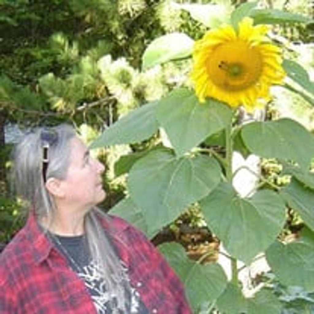 Pamela Ann Fischer Profile Photo