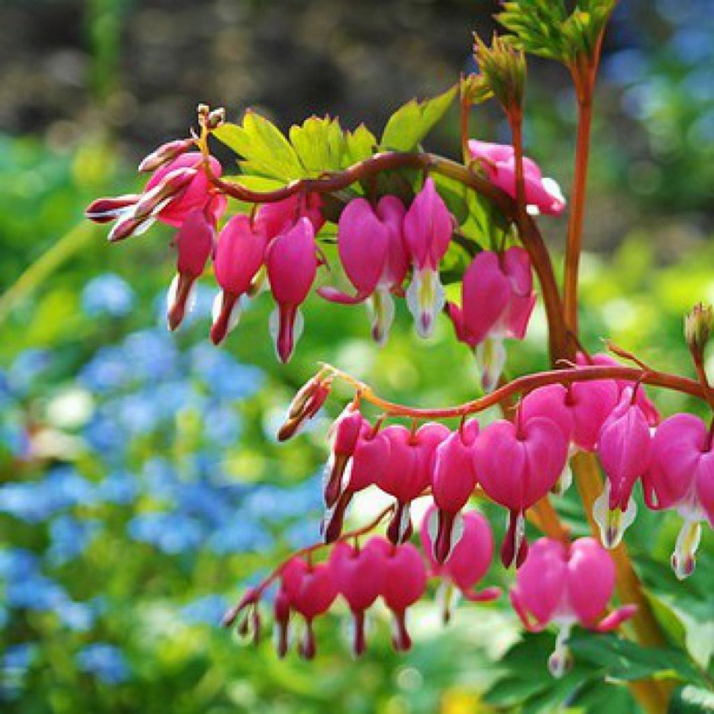 Julia P Alley Profile Photo