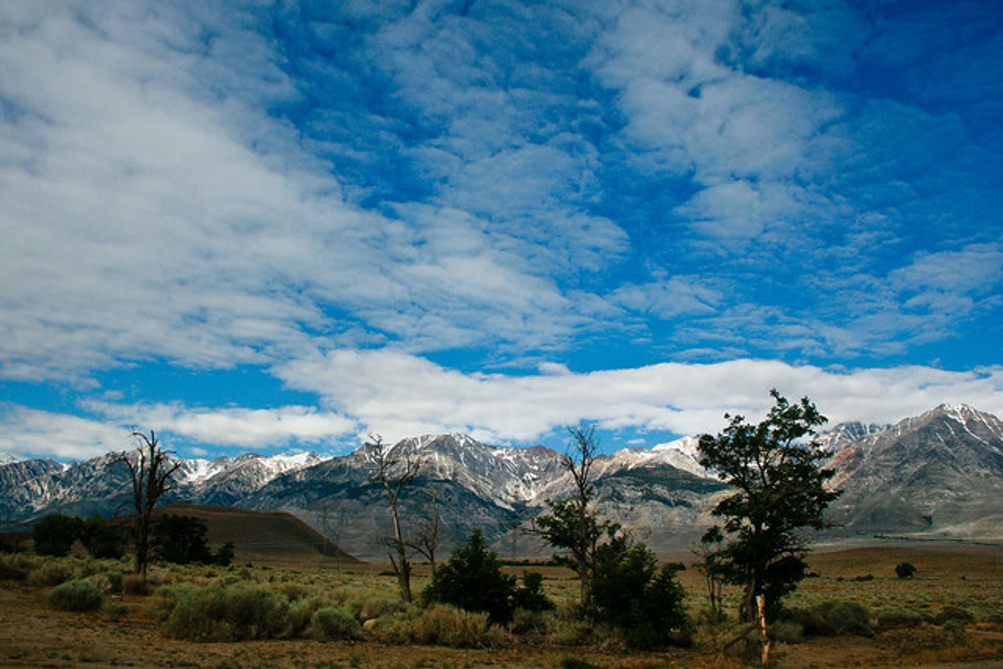 Cover photo for Lena Dethomas's Obituary