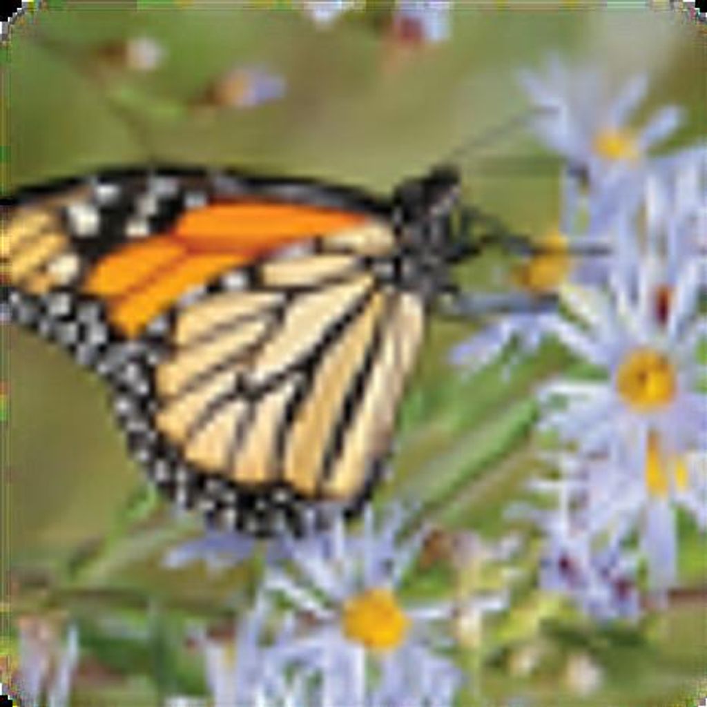 Michael Wong Profile Photo