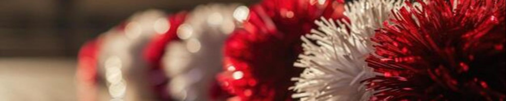 Cover for Anne L. Cosgrove's Obituary