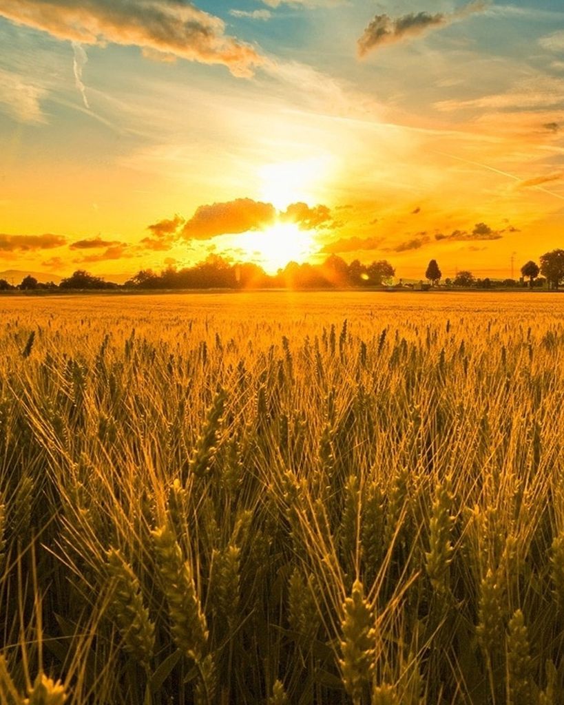 W.H. "Dub" Auttonberry