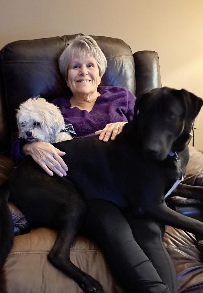 Holly A. Bogle Profile Photo