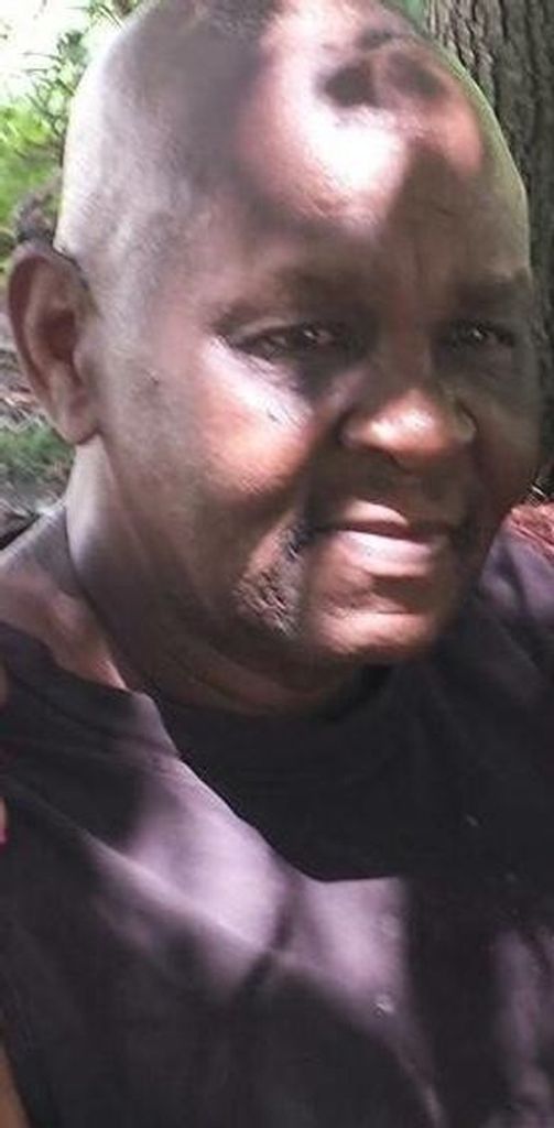 Hinton Collins Profile Photo