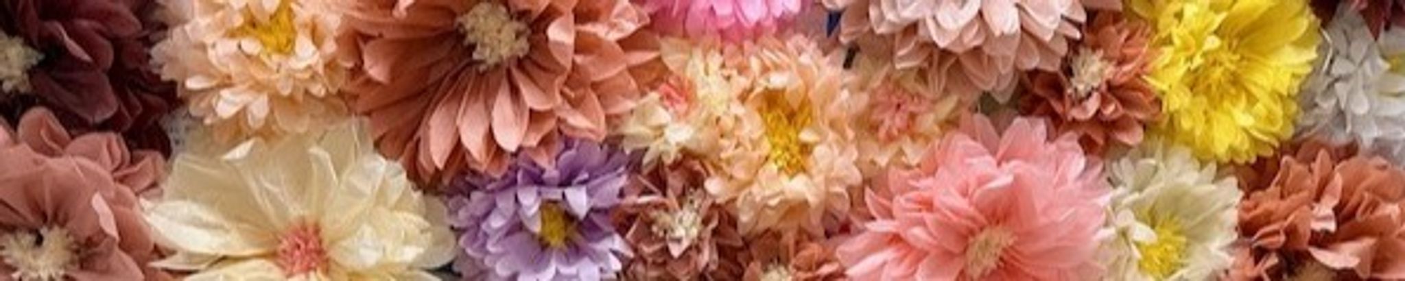 Cover photo for Judith Elizabeth Shrader's Obituary