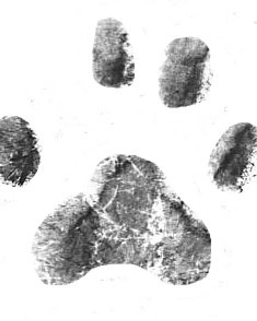 Horace Sherrill Profile Photo